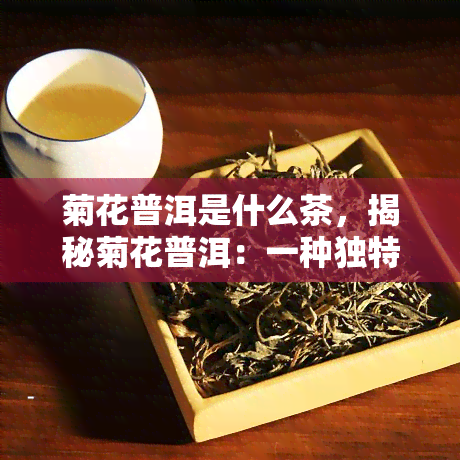 菊花普洱是什么茶，揭秘菊花普洱：一种独特的茶饮体验