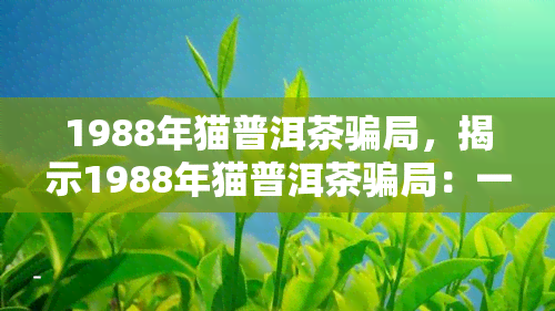 1988年猫普洱茶骗局，揭示1988年猫普洱茶骗局：一场精心设计的金融诈骗