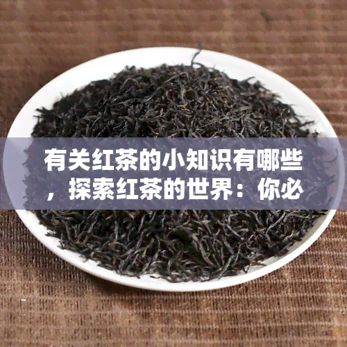 有关红茶的小知识有哪些，探索红茶的世界：你必须知道的有关红茶的小知识