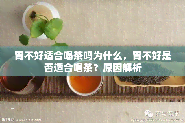 胃不好适合喝茶吗为什么，胃不好是否适合喝茶？原因解析