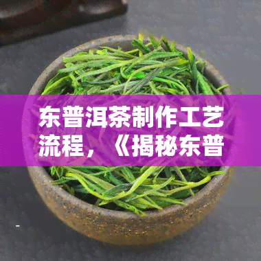 东普洱茶制作工艺流程，《揭秘东普洱茶的制作工艺流程》