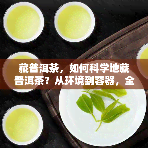 藏普洱茶，如何科学地藏普洱茶？从环境到容器，全面解析茶叶保技巧