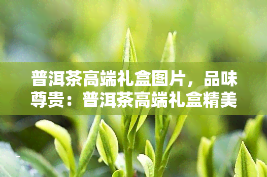 普洱茶高端礼盒图片，品味尊贵：普洱茶高端礼盒精美图片欣