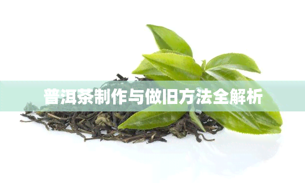 普洱茶制作与做旧方法全解析