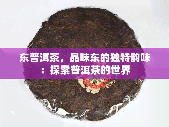 东普洱茶，品味东的独特韵味：探索普洱茶的世界