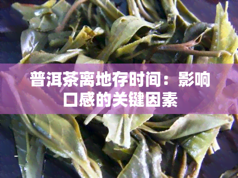 普洱茶离地存时间：影响口感的关键因素