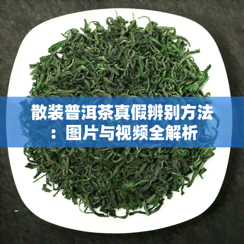 散装普洱茶真假辨别方法：图片与视频全解析