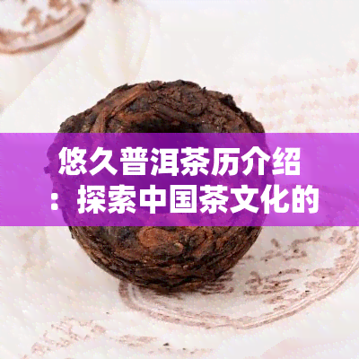 悠久普洱茶历介绍：探索中国茶文化的深厚底蕴