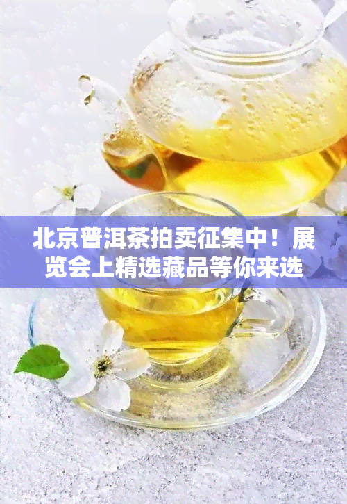 北京普洱茶拍卖征集中！展览会上精选藏品等你来选购！