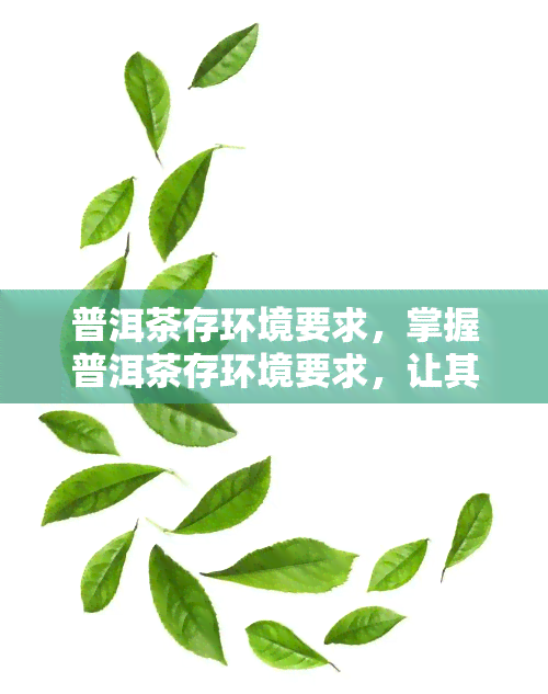 普洱茶存环境要求，掌握普洱茶存环境要求，让其口感更加醇厚美味！