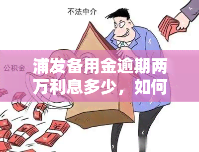 浦发备用金逾期两万利息多少，如何计算浦发备用金逾期两万元的利息？