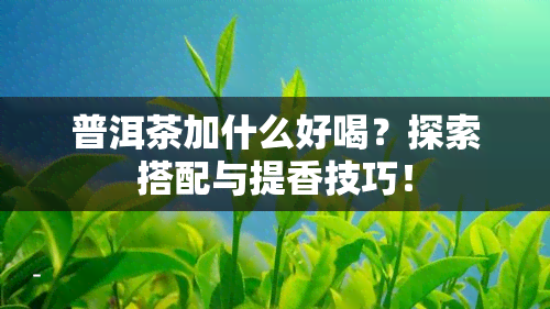 普洱茶加什么好喝？探索搭配与提香技巧！