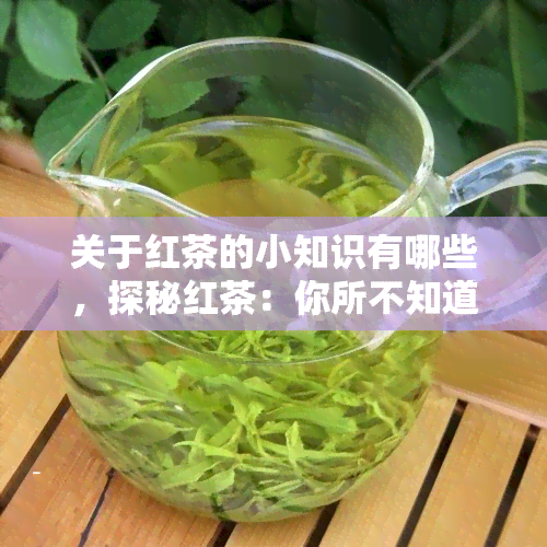 关于红茶的小知识有哪些，探秘红茶：你所不知道的红茶小知识