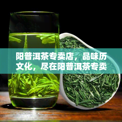 阳普洱茶专卖店，品味历文化，尽在阳普洱茶专卖店