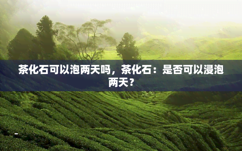 茶化石可以泡两天吗，茶化石：是否可以浸泡两天？