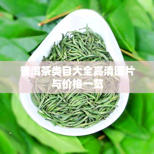 普洱茶类目大全高清图片与价格一览