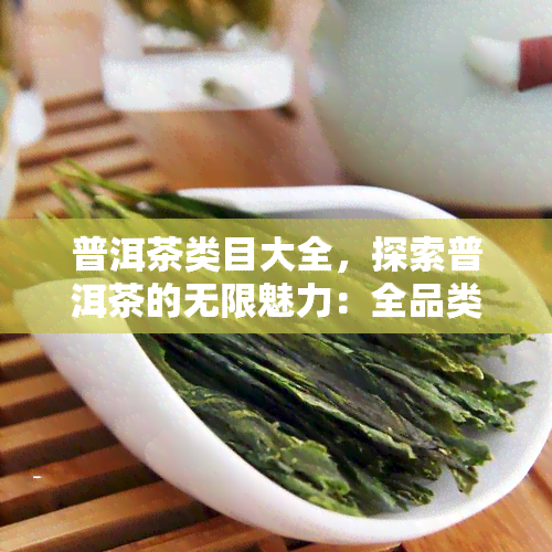 普洱茶类目大全，探索普洱茶的无限魅力：全品类目大揭秘