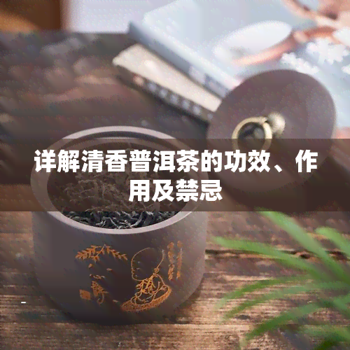 详解清香普洱茶的功效、作用及禁忌