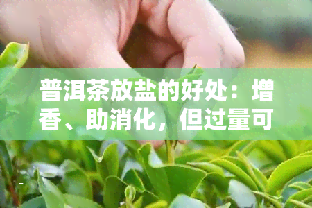 普洱茶放盐的好处：增香、助消化，但过量可能影响口感与健