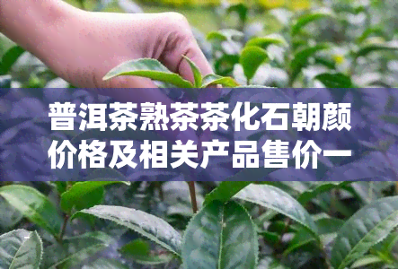 普洱茶熟茶茶化石朝颜价格及相关产品售价一览