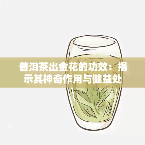 普洱茶出金花的功效：揭示其神奇作用与健益处