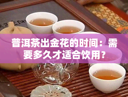 普洱茶出金花的时间：需要多久才适合饮用？