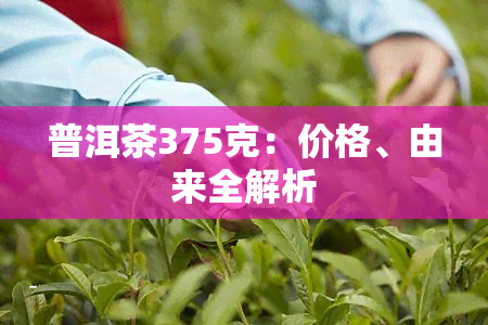 普洱茶375克：价格、由来全解析