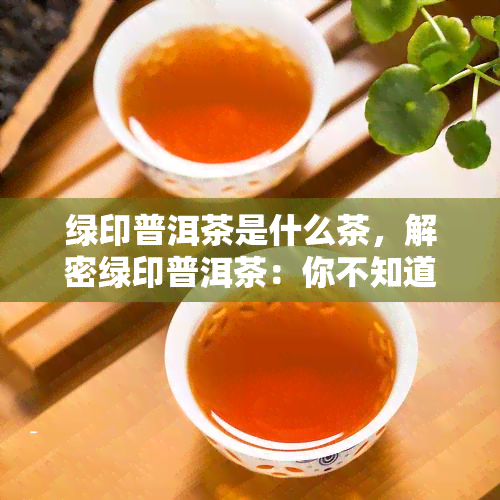 绿印普洱茶是什么茶，解密绿印普洱茶：你不知道的茶叶品种