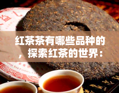 红茶茶有哪些品种的，探索红茶的世界：了解红茶的各种品种