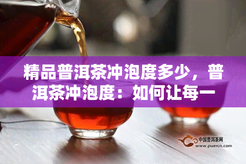 精品普洱茶冲泡度多少，普洱茶冲泡度：如何让每一片茶叶都发挥出口感？