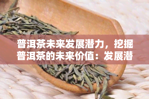 普洱茶未来发展潜力，挖掘普洱茶的未来价值：发展潜力与机遇分析