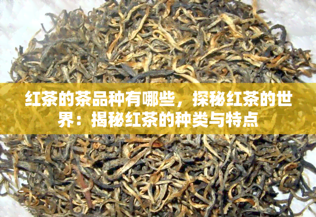 红茶的茶品种有哪些，探秘红茶的世界：揭秘红茶的种类与特点