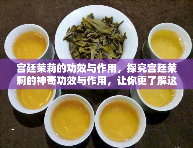 宫廷茉莉的功效与作用，探究宫廷茉莉的神奇功效与作用，让你更了解这种花卉的魅力！