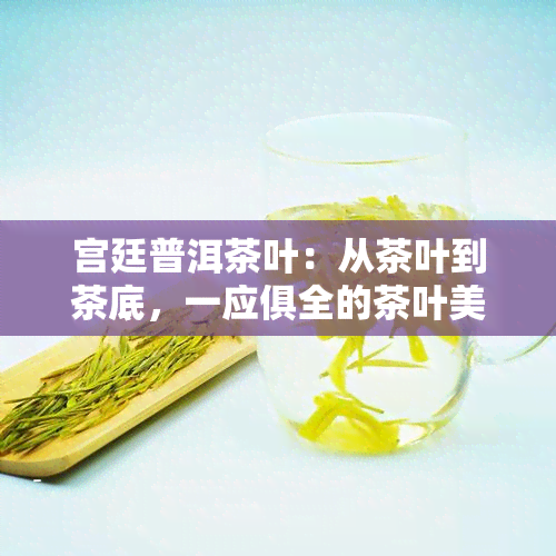 宫廷普洱茶叶：从茶叶到茶底，一应俱全的茶叶美食探索