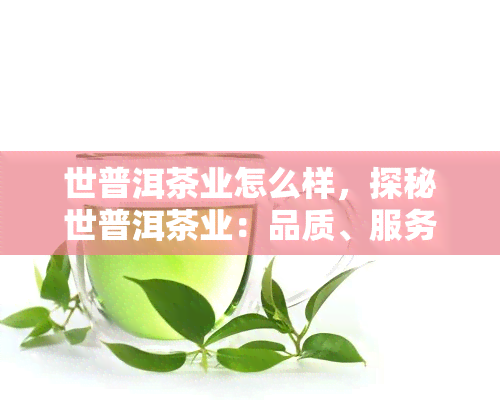 世普洱茶业怎么样，探秘世普洱茶业：品质、服务与口碑全面解析