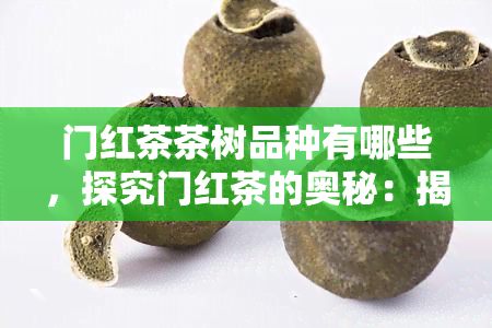 门红茶茶树品种有哪些，探究门红茶的奥秘：揭秘主要茶树品种