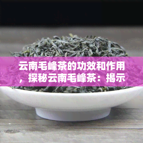 云南毛峰茶的功效和作用，探秘云南毛峰茶：揭示其独特功效与作用