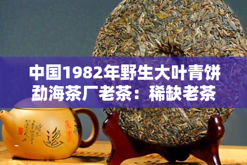 中国1982年野生大叶青饼勐海茶厂老茶：稀缺老茶品鉴