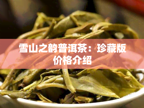 雪山之韵普洱茶：珍藏版价格介绍