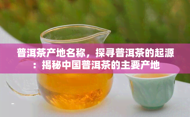 普洱茶产地名称，探寻普洱茶的起源：揭秘中国普洱茶的主要产地