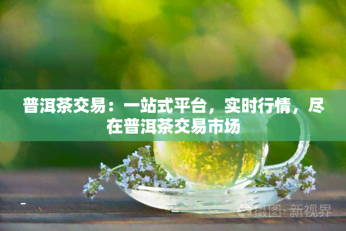 普洱茶交易：一站式平台，实时行情，尽在普洱茶交易市场