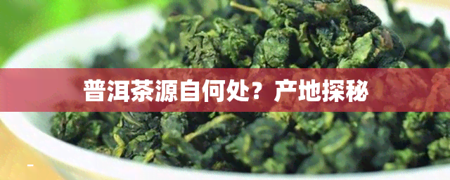 普洱茶源自何处？产地探秘