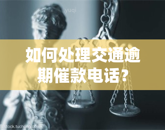 如何处理交通逾期催款电话？