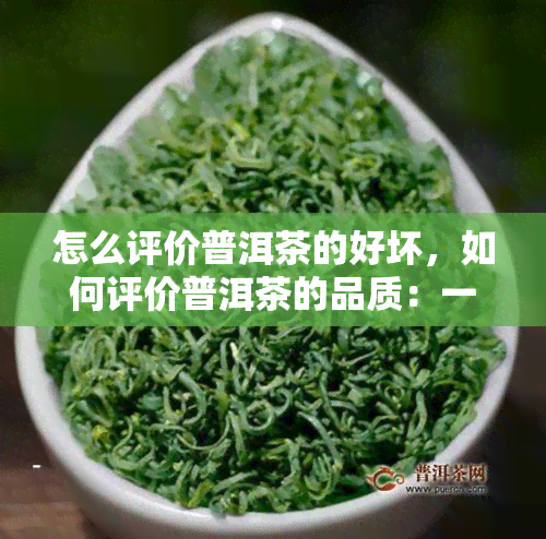 怎么评价普洱茶的好坏，如何评价普洱茶的品质：一份全面指南