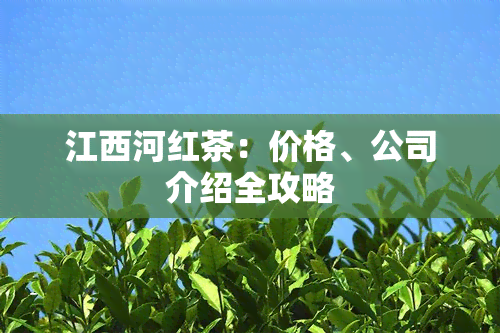 江西河红茶：价格、公司介绍全攻略