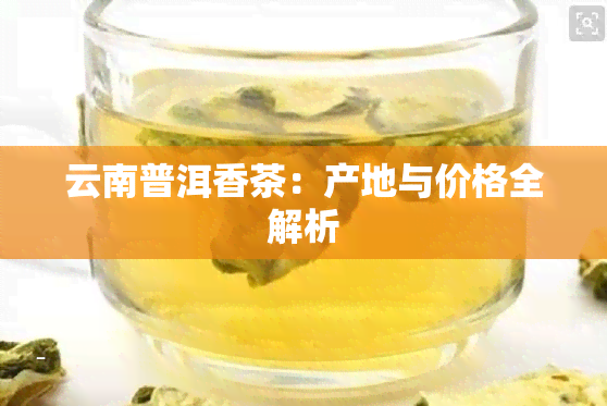 云南普洱香茶：产地与价格全解析