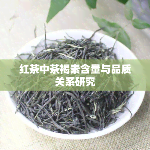 红茶中茶褐素含量与品质关系研究