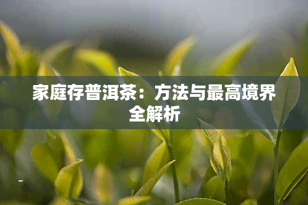 家庭存普洱茶：方法与更高境界全解析