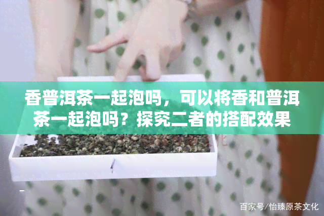 香普洱茶一起泡吗，可以将香和普洱茶一起泡吗？探究二者的搭配效果