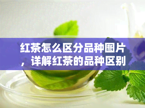 红茶怎么区分品种图片，详解红茶的品种区别：通过图片轻松辨认